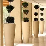 Atlantica Oasis 4* Limassol